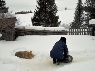 Similar image 21776370