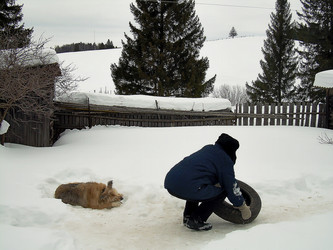 Similar image 21776371