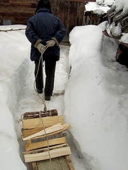 Similar image 21776375