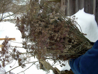 Similar image 21776379