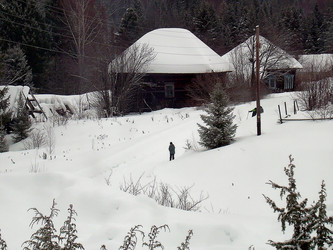 Similar image 21776382