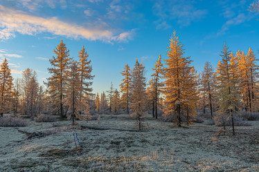 Similar image 21776572