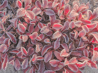 Similar image 21776573