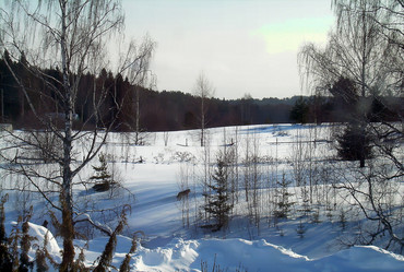 Similar image 21776384