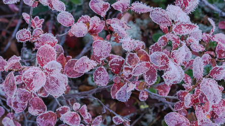 Similar image 21776581