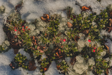 Similar image 21776585