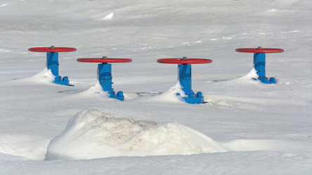 Similar image 21776600