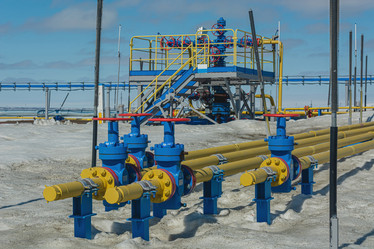 Similar image 21776602