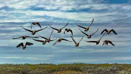 Similar image 21776610