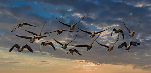 Similar image 21776620