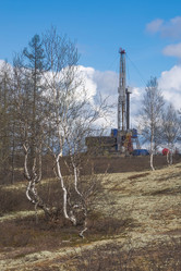 Similar image 21776621