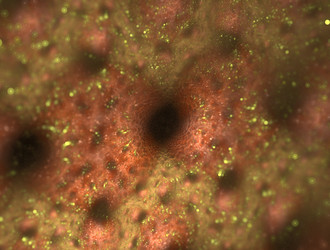 Similar image 21776825