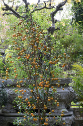 Similar image 21776390