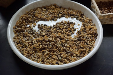 Similar image 21776396