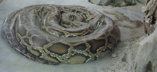 Similar image 21776398