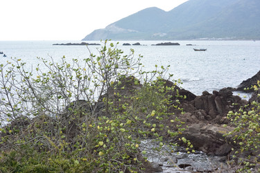 Similar image 21776417