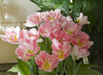 Similar image 21776167