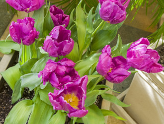 Similar image 21776170