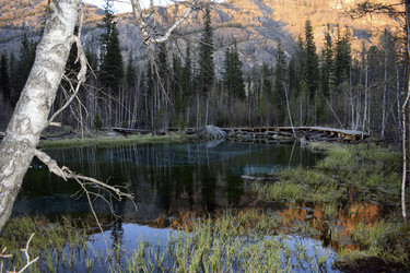 Similar image 21778893