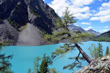 Similar image 21778894