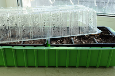 Similar image 21776183