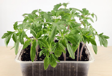 Similar image 21776185