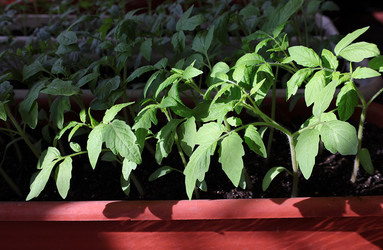 Similar image 21776187