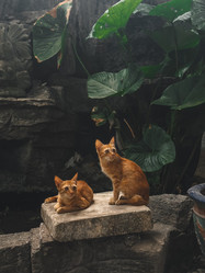 Similar image 21776245