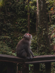 Similar image 21776431