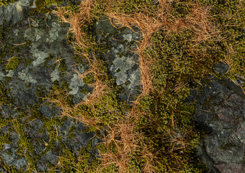 Similar image 21785368