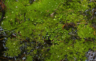 Similar image 21785369