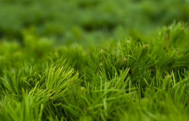 Similar image 21785371