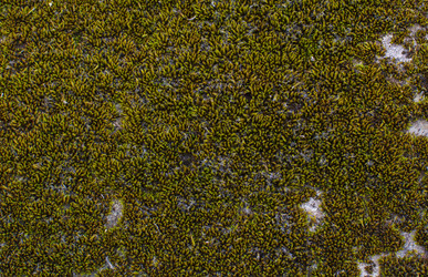 Similar image 21785372