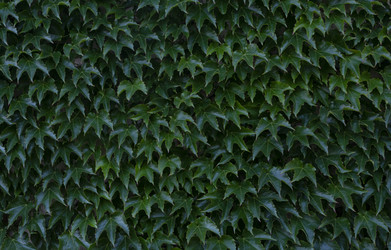 Similar image 21785373