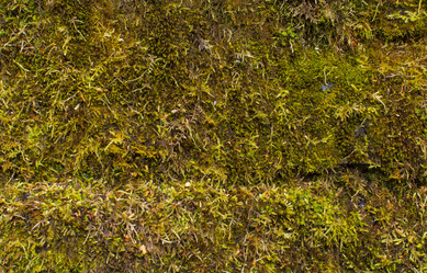 Similar image 21785374