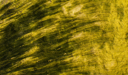 Similar image 21785375