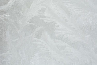 Similar image 21785412