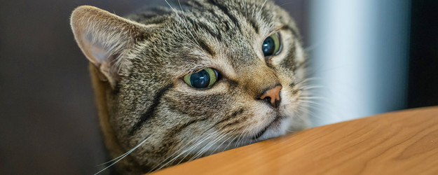 Similar image 21778683