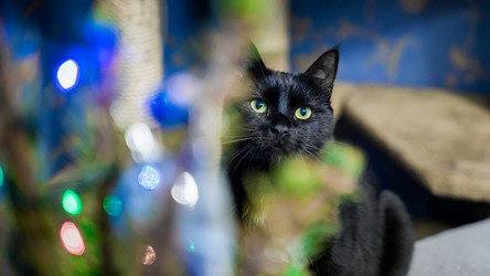 Similar image 21778689