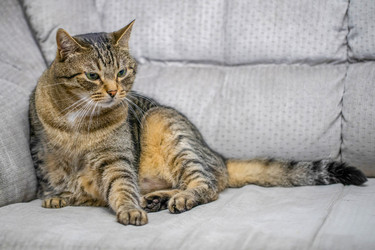 Similar image 21778696