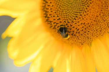 Similar image 21778697