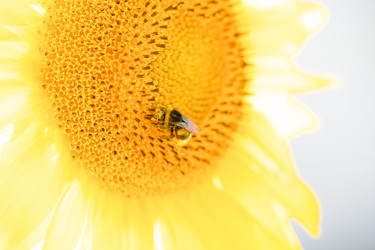 Similar image 21778699