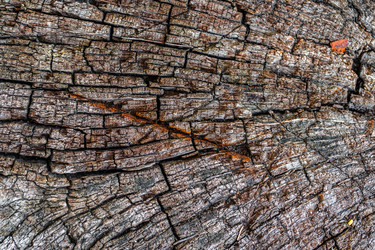 Similar image 21778701