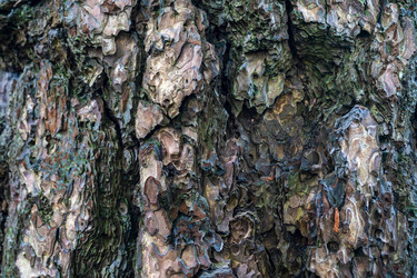 Similar image 21778703