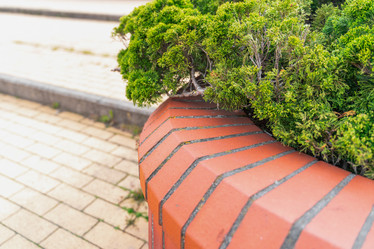 Similar image 21778714