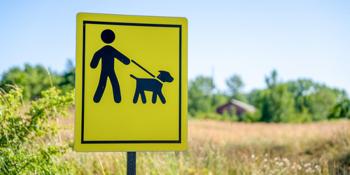 Similar image 21778721