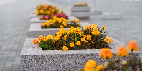 Similar image 21778723