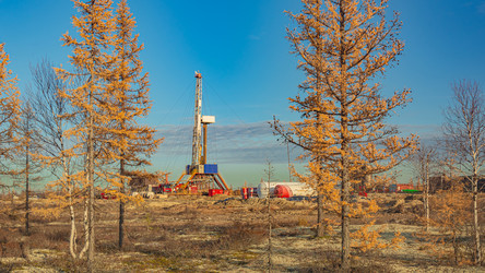 Similar image 21777429