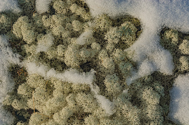 Similar image 21777432