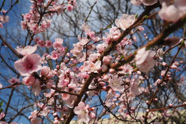 Similar image 21778902